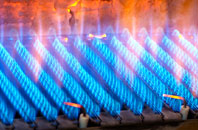 Firth Muir Of Boysack gas fired boilers
